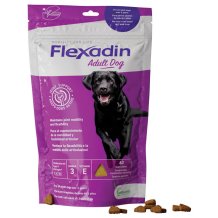 FLEXADINI ADULT*60 TAV
