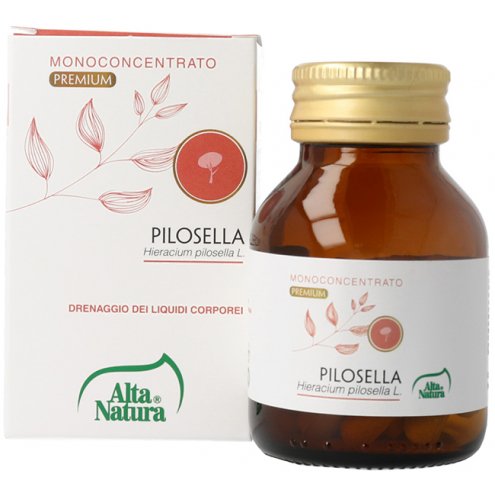 ALTA NAT PILOSELLA 50CPR 45G