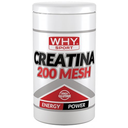 WHYSPORT CREATINA 200 MESH500G