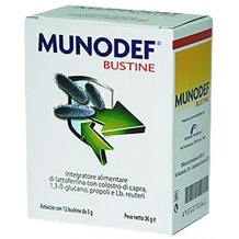 MUNODEF 12BUST