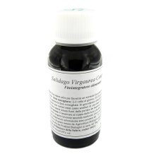 07N SOLIDAGO VIRG 60ML