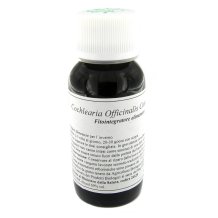 11N COCHLEARIA OFF COMP 60ML