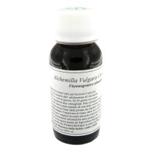 19N ALCHEMILLA VULGAR COMP LVS